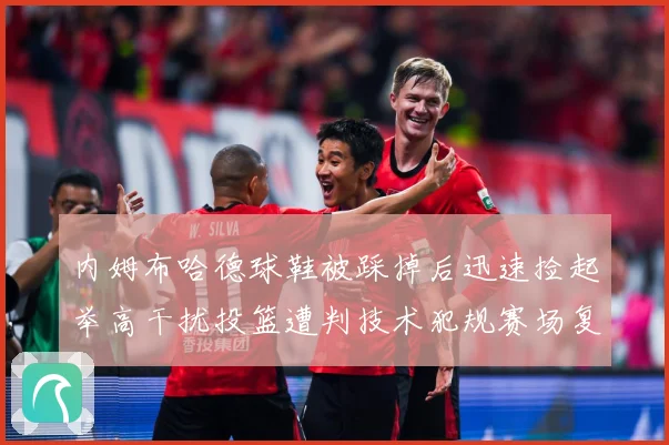 内姆布哈德球鞋被踩掉后迅速捡起举高干扰投篮遭判技术犯规赛场复盘-深度解析