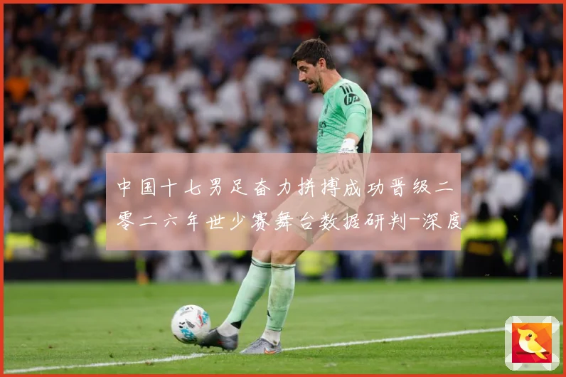 中国十七男足奋力拼搏成功晋级二零二六年世少赛舞台数据研判-深度解析