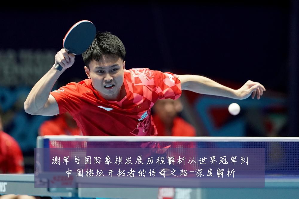 谢军与国际象棋发展历程解析从世界冠军到中国棋坛开拓者的传奇之路-深度解析